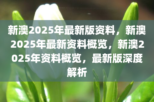 新澳2025年正版资料更新,全面释义解释与落实策略