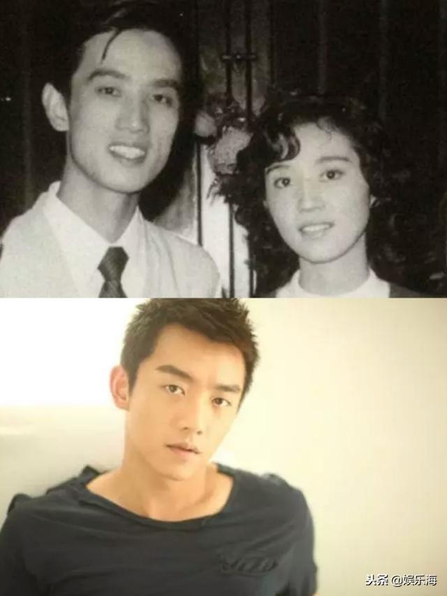 今晚四不像一肖图今晚四不像吧,构建解答解释落实