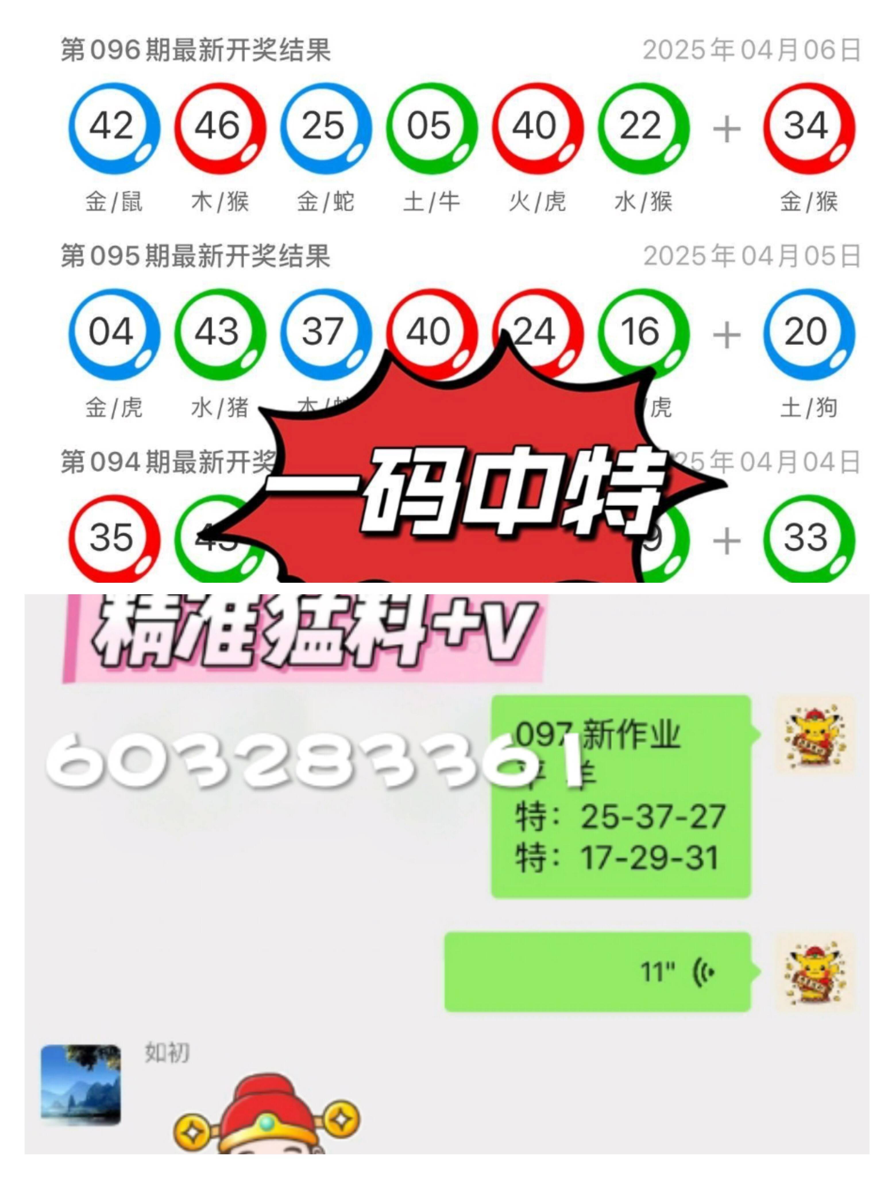 2025年新澳门王中王资料,精准解答解释落实